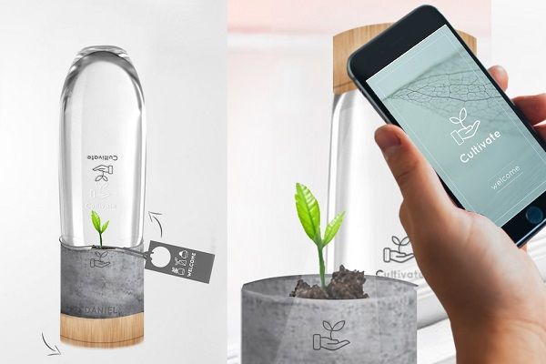 YourStudio welcome kit includes a potted plant and mobile app